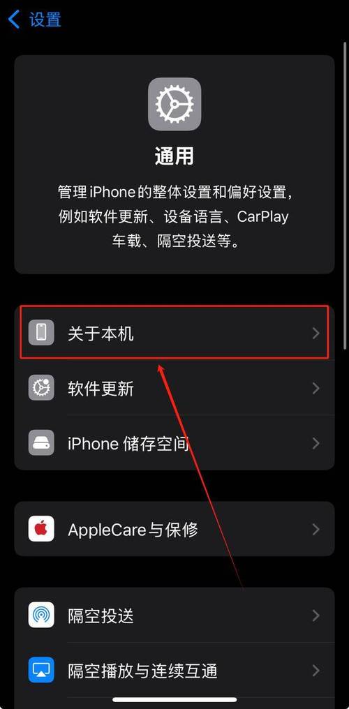 苹果MINI怎么查询激活时间