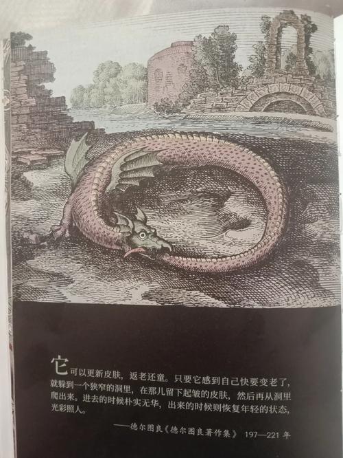 求真正懂得设置4G版雷蛇曼巴眼镜蛇鼠标,玩FPS游戏类--CS/CF