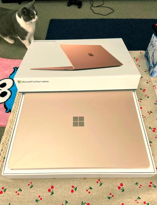 surface最建议买三款