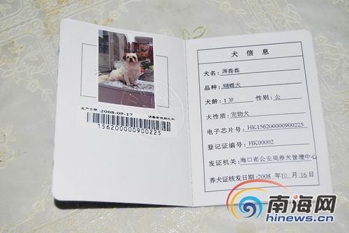 办理狗证的给的“芯片”是什么东西呢?是像身份证一样的,还是跟电影...