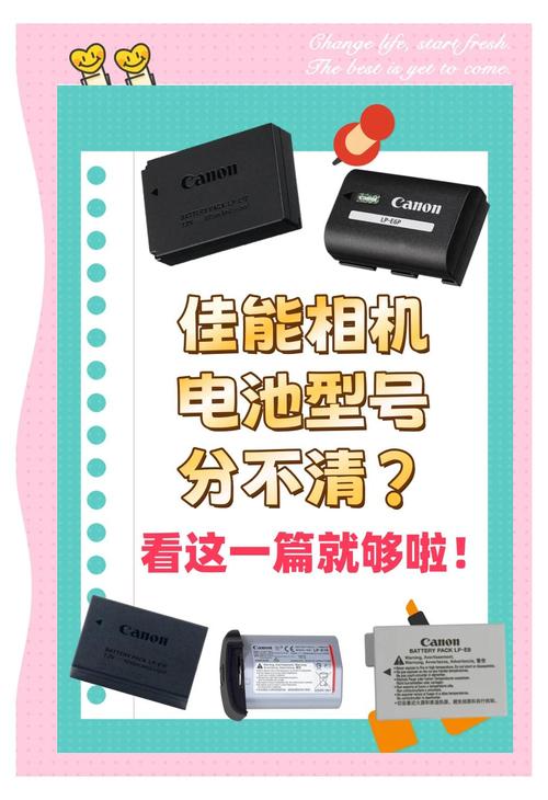 佳能A2200用的什么电池?干电池吗?