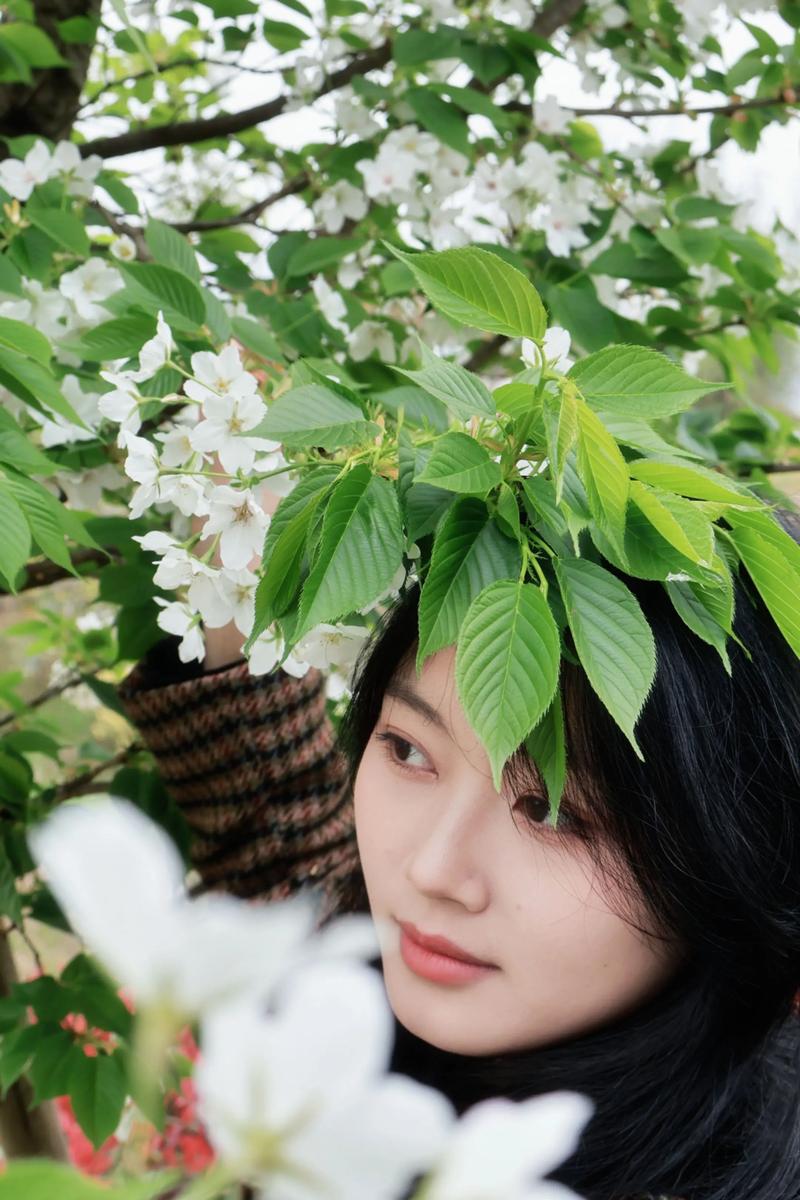 佳能和尼康单反哪个好