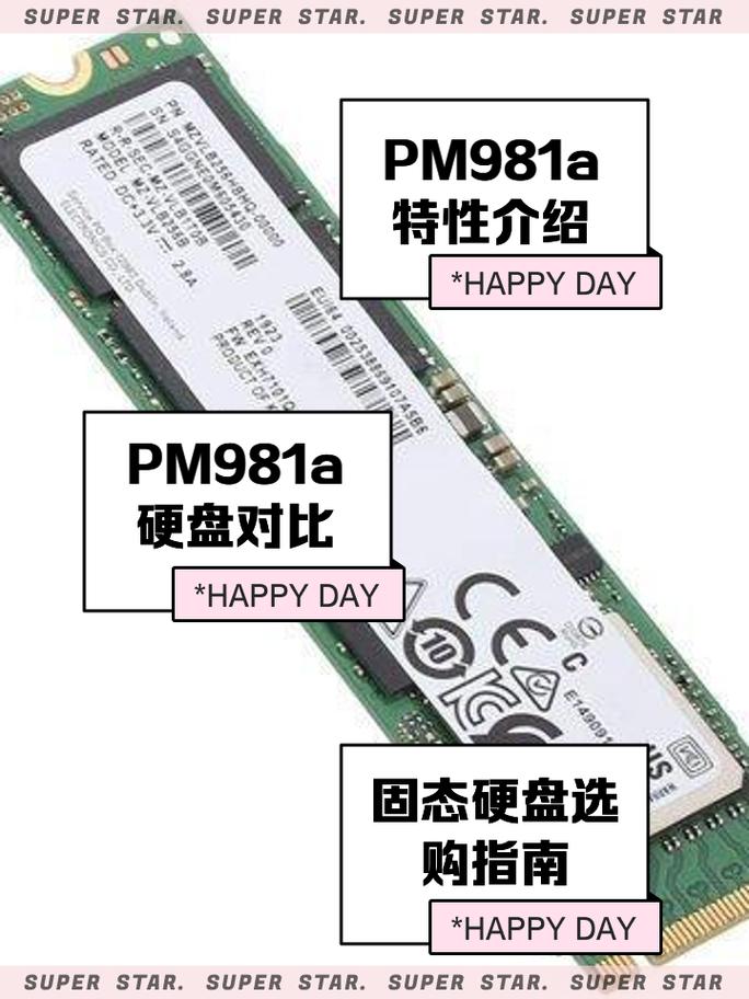 pm981a相当于哪个型号