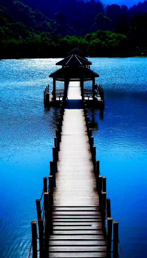 定焦镜头适合拍什么