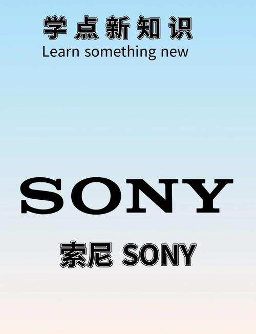 索尼有哪些部门