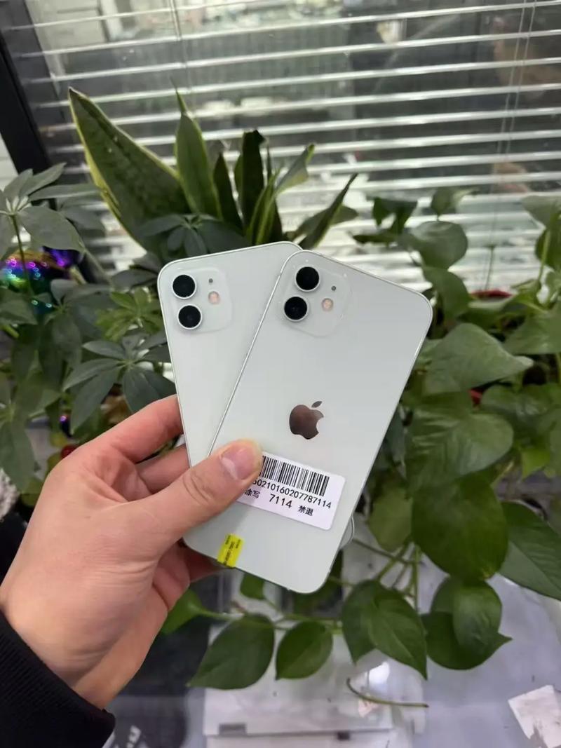 苹果12颜色怎么选?哪个颜色更吸引人?