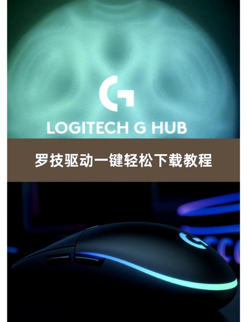 鼠标驱动是什么意思?