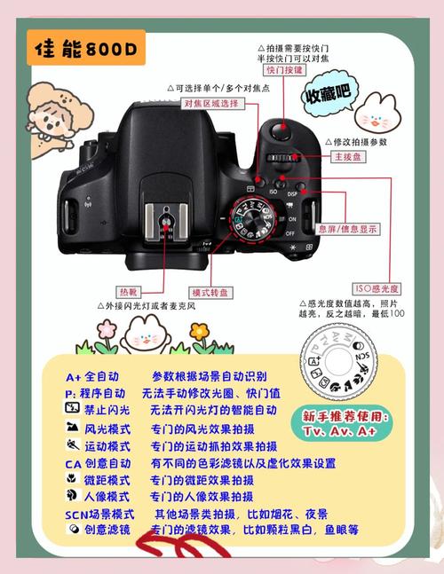 佳能700d这款相机怎样?