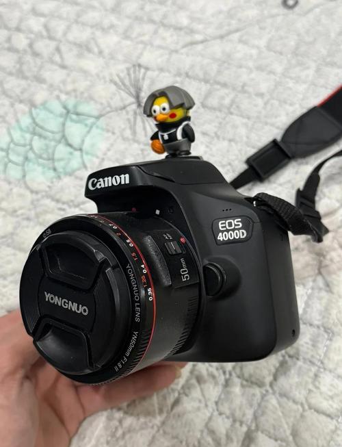 二手佳能450D大概费用?