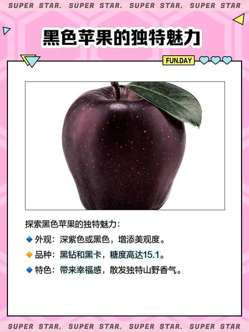 电脑安装黑苹果系统好用吗,电脑装黑苹果有用吗