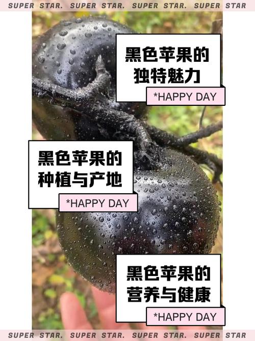 黑苹果系统稳定好用吗,它和win7体验差距大吗