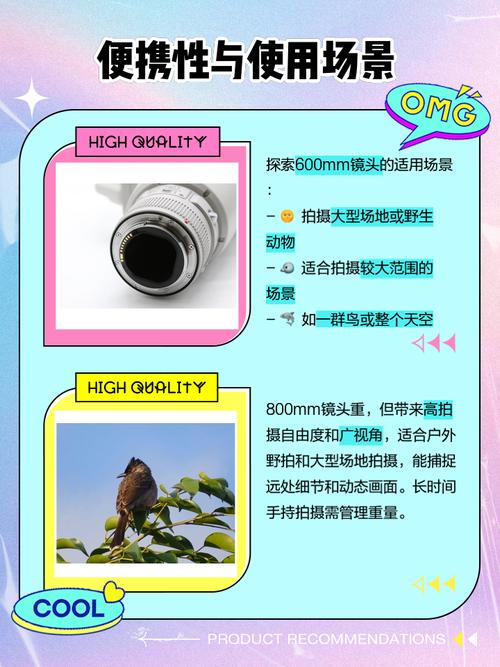 拍鸟600定焦好还是800定焦好