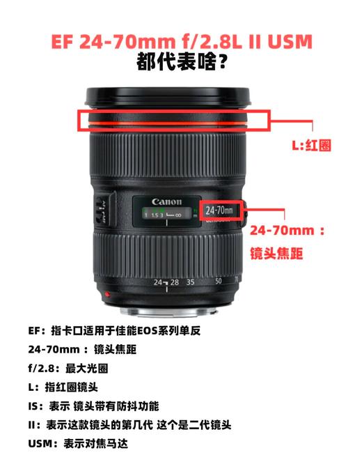 2470和24105哪个镜头更实用