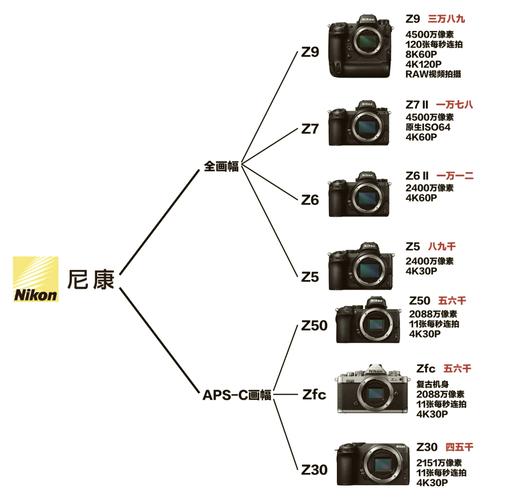尼康z63iso800与6400比较
