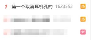 第一个取消耳机孔的: