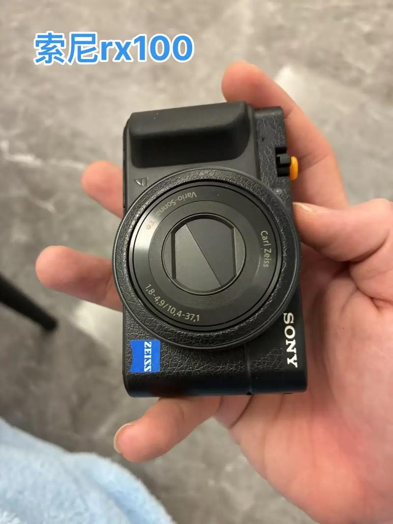 索尼Rx1和Rx100怎么样?