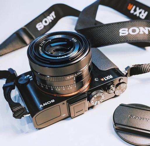 徕卡q3参数和sonyrx1外观对比