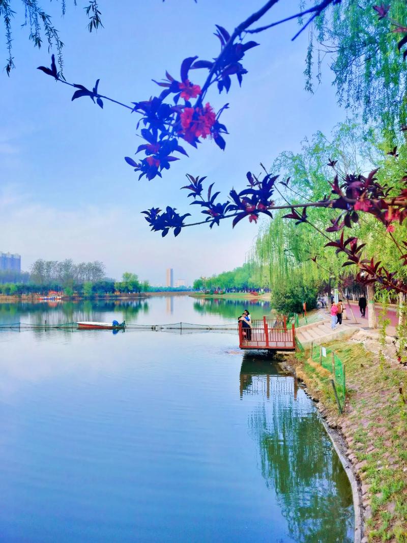 卓越网购的这2款佳能IXUS960有什么不同!