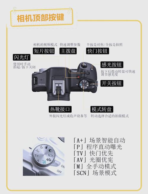 佳能450d配什么镜头