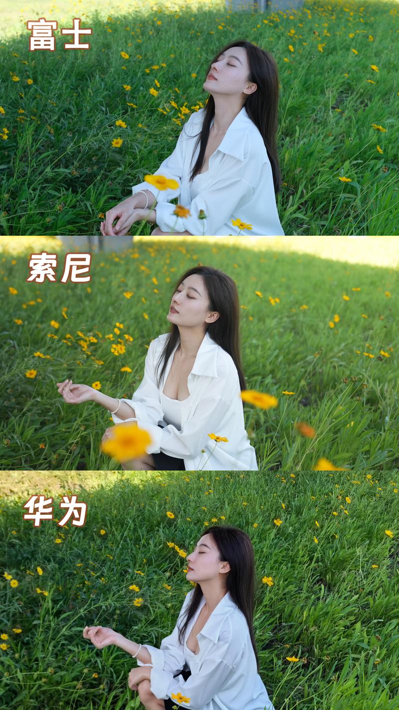 买单反相机选哪个品牌