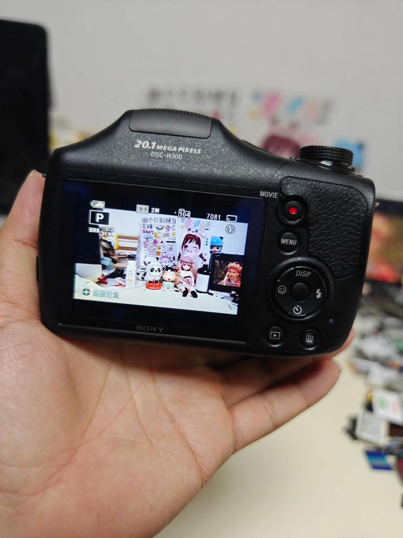 索尼长焦相机“H300”和“HX300”的主要区别是什么?