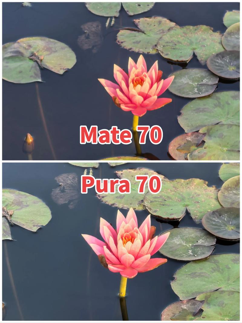 华为mate7有多大