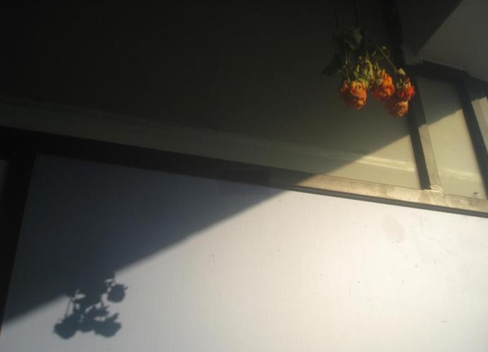 佳能_IXUS_950IS存储性能