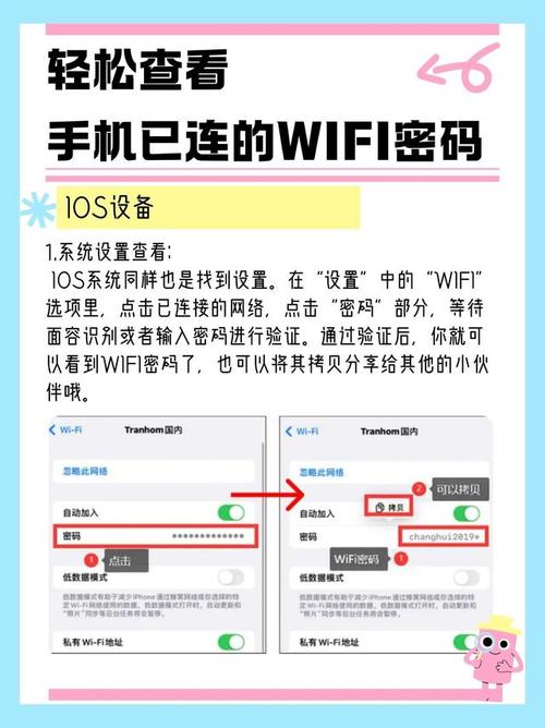 怎样查看自己的校园Wifi密码?