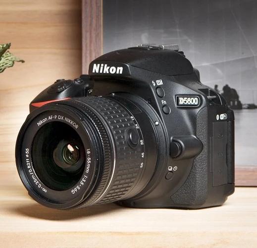 可以拍raw格式的相机