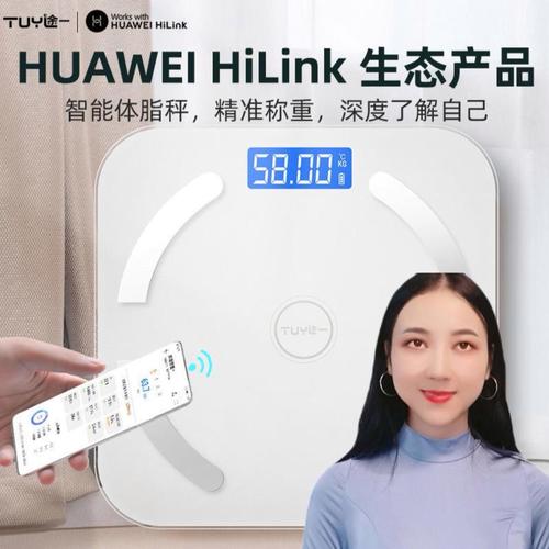 华为体脂秤多少钱一台