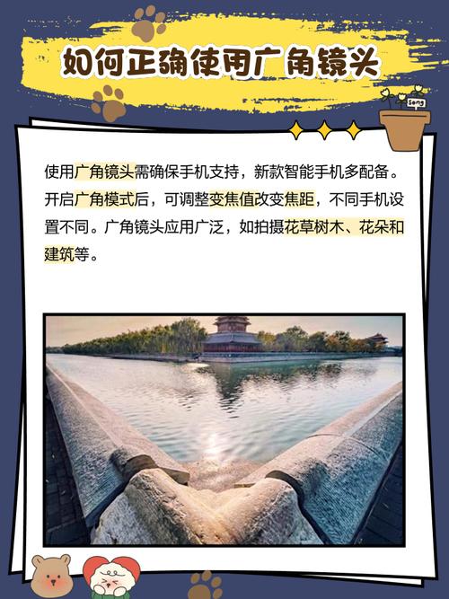 手机广角镜头用处大吗