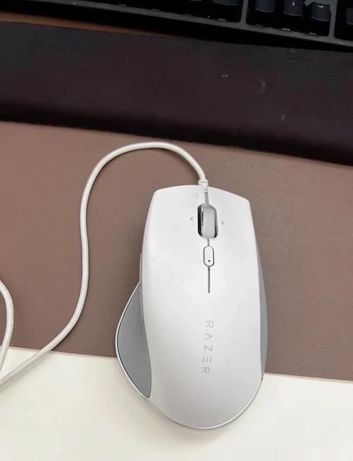 雷蛇驱动只能安装在C盘吗