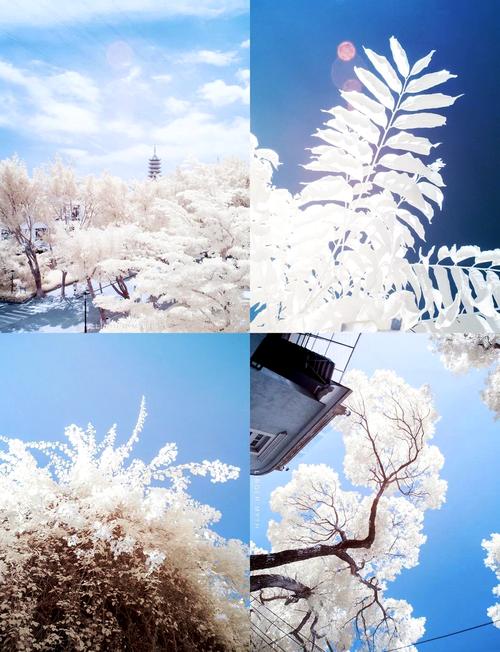 红外摄影快速入门指南