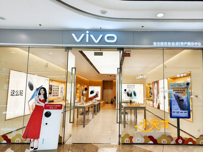 京东vivo自营店和官方旗舰店有什么区别