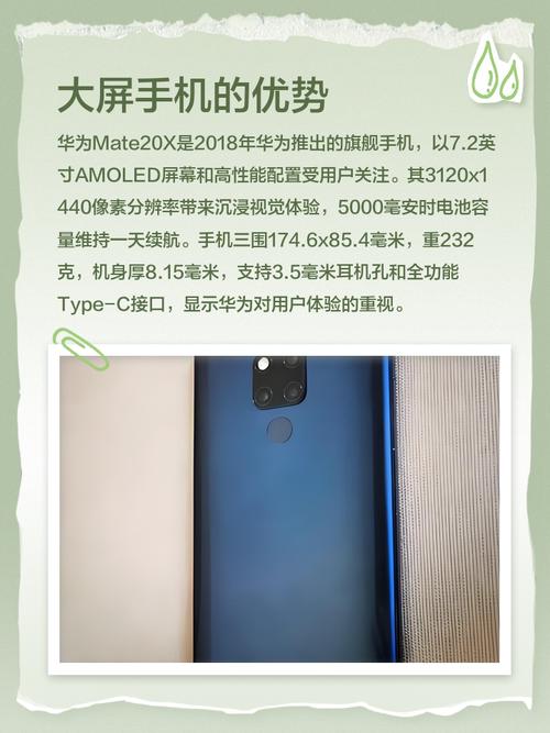 mate20x哪年
