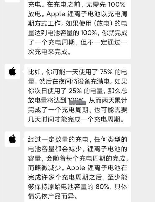 ipad电池寿命低于多少要换