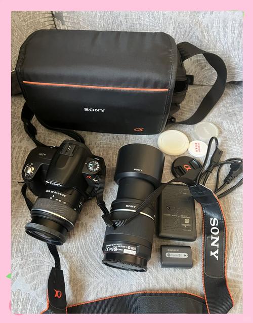 入门摄影,入手尼康D3000好还是索尼a290好呢???