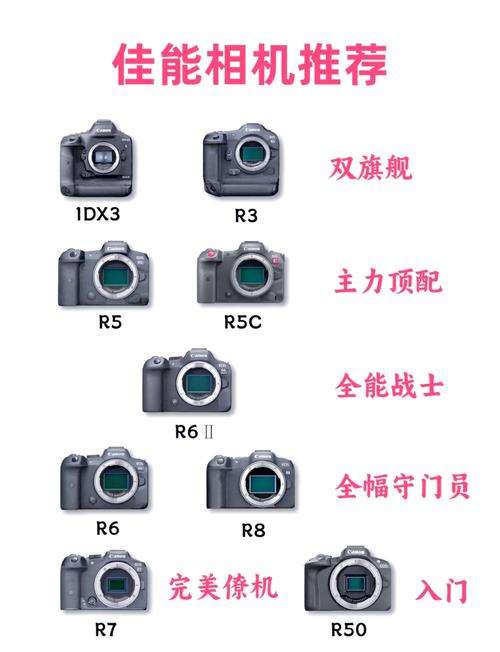 佳能1dx2和1dx3哪个好