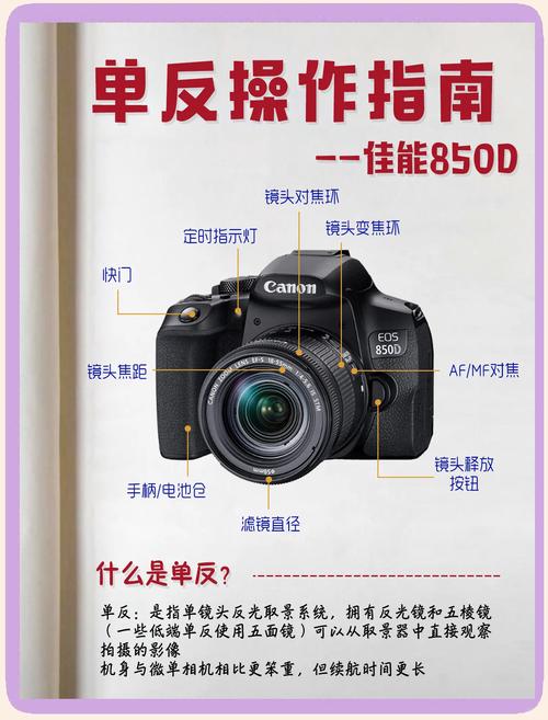 摄影新人选取单反镜头注意什么,摄影新人选取单反镜头注意事项