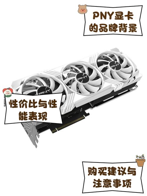 恩威牌子的显卡吗