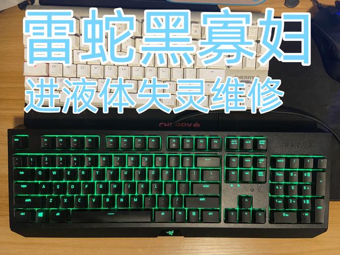 雷蛇键盘fn调不了灯光