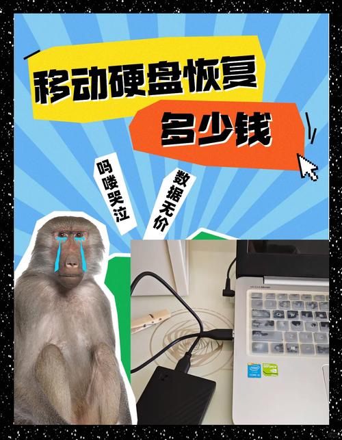 移动硬盘数据恢复多少钱一次