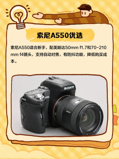 索尼a550有哪些主要特点和适用人群?