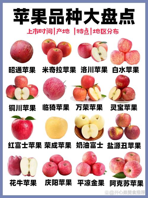 苹果有多少种品种