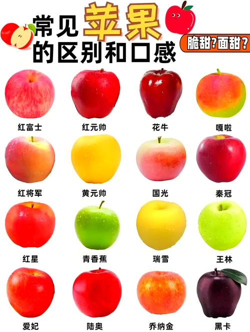 水果中的苹果有哪几种