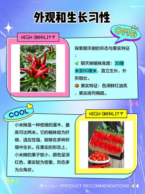 小米辣和朝天椒的区别