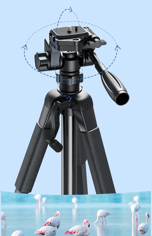 单反怎么安装在三脚架上