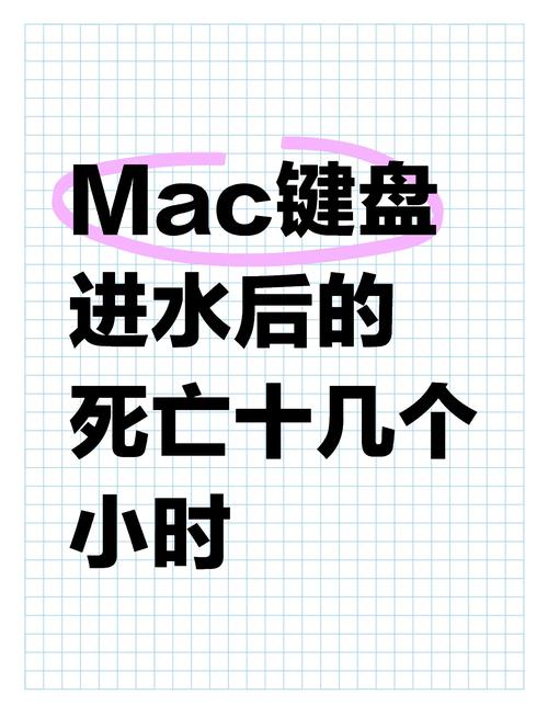 mac电脑进水后黑屏笔记本电脑屏幕进水黑屏了怎么办