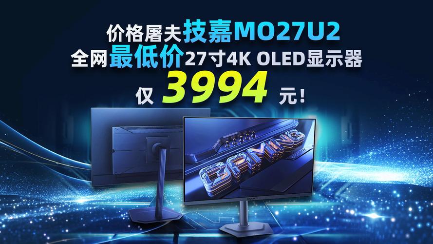 oled显示器买哪个品牌