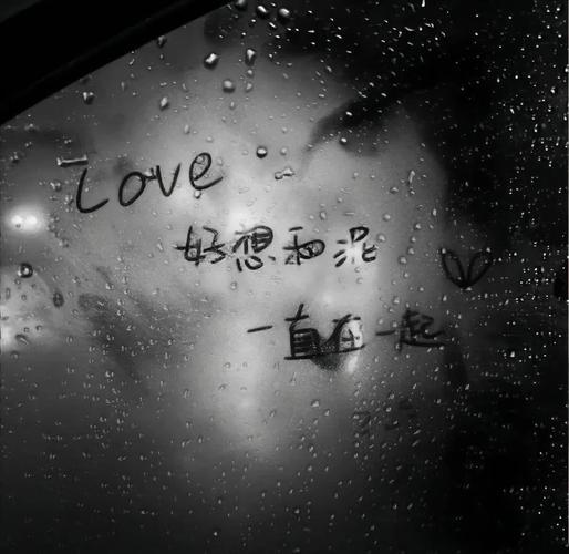 荣耀手机换新机,钱包银行卡如何转移到新机